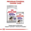 Royal Canin CCN MINI STERILISED - dry food for adult dogs - 3kg