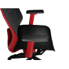 Genesis Ergonomic Chair Astat 700 Base material Aluminum; Castors material: Nylon with CareGlide coating | 700 | Black/Red