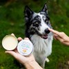 JM SANTE GREEN SANTE NATURALNA MAŚĆ NA NOS 60  ml