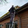Batavia Giraffe PRO Telescopic ladder 2.93 m