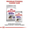 Royal Canin CCN Sterilised Loaf - wet food for adult dogs - 12x85g