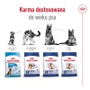 ROYAL CANIN Maxi Adult 5+ - dry dog food - 15 kg