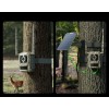 Reolink Camovue Talon S130 4G LTE Trail Camera