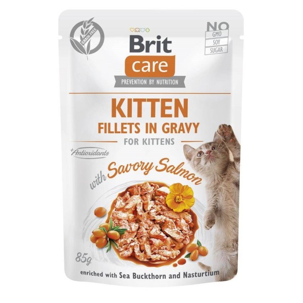 BRIT Care Cat Kitten Savory Salmon ...