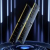 NB MEMORY 32GB DDR5-5600/LD5U32G56C46ST-BGS LEXAR