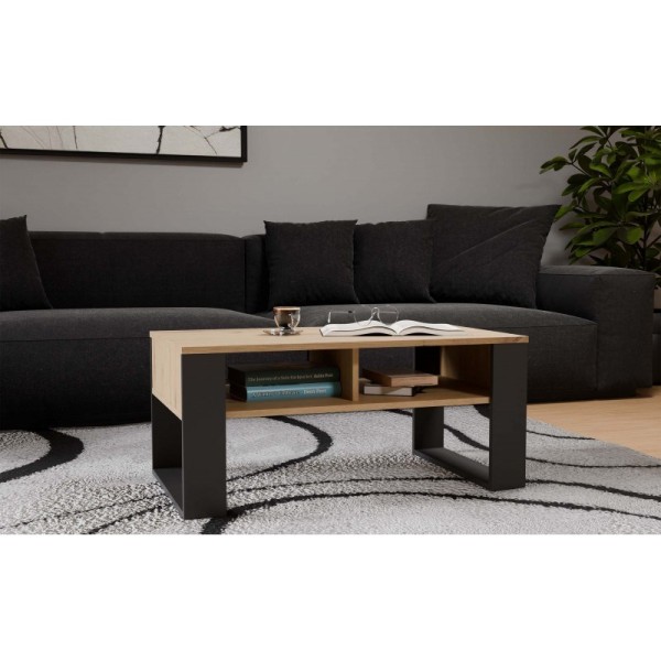 MODERN 2P ARTISAN COFFEE TABLE WITH ...