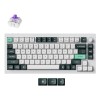 KEYBOARD WRL Q1 HE RGB/SHELL WHITE Q1H-P1 KEYCHRON