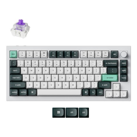 KEYBOARD WRL Q1 HE RGB/SHELL WHITE Q1H-P1 KEYCHRON