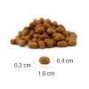 PLATINUM MeatCrisp Kitten Fish - dry cat food - 3kg