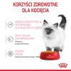 Royal Canin FHN Kitten Instinctive in sauce - wet food for kittens - 12x85g