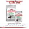 ROYAL CANIN CCN DIGESTIVE CARE LOAF - wet food for adult dogs - 12x85g