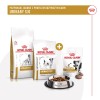 ROYAL CANIN Dog Urinary S/O Treats - dog treat - 230g