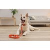 KERBL Puno Reflective Dog Collar - Orange - 46-55 cm