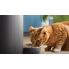 Philips 5000 Series Smart Feeder PAW5320/02, Black