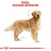 ROYAL CANIN BHN Golden Retriever dry dog food - 12kg