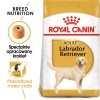 ROYAL CANIN Labrador Adult - dry dog food - 12 kg