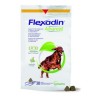 Vetoquinol Flexadin Advanced- snacks for dogs- 30 tablets