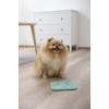 KERBL Slow-eating Licking Mat - Turquoise Tray, Bowl for Dog/Cat - 20x20 cm