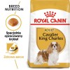 Dog Food Royal Canin SHN Breed Cavalier K C 1.5 kg