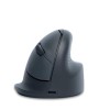 MOUSE USB OPTICAL WRL BASIC/R. GREY RGOHEBAMRWL R-GO TOOLS