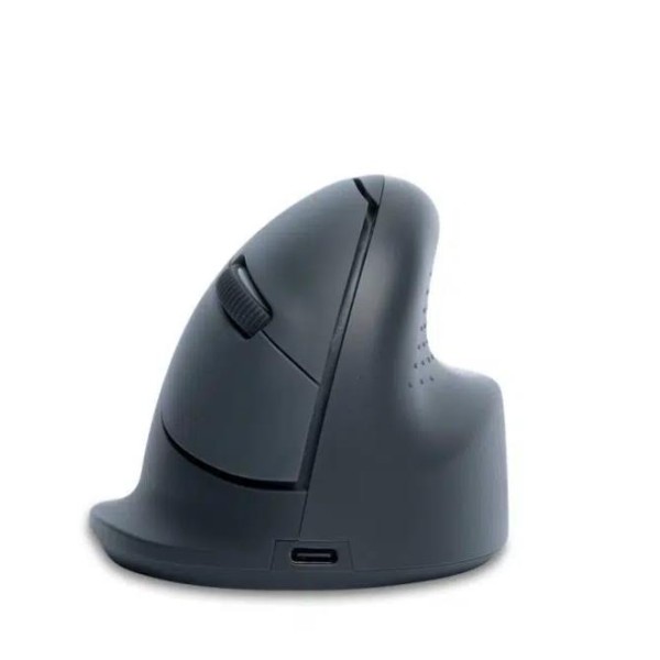 MOUSE USB OPTICAL WRL BASIC/R. GREY ...