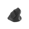 Natec | Vertical Mouse | Crake 2 | Vertical Mouse | Wireless | Bluetooth, 2.4GHz | Black