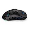 ENDORFY LIX mouse Ambidextrous RF Wireless + USB Type-C Optical 16000 DPI