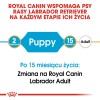 ROYAL CANIN SHN Breed Labrador Junior dry dog food - 12 kg