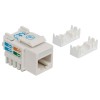 Intellinet Keystone Jack, Cat6, UTP, Punch-down, White