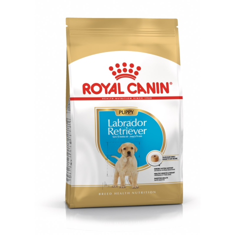 ROYAL CANIN SHN Breed Labrador Junior dry dog food - 12 kg