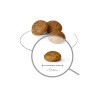 ROYAL CANIN Adult 8+ x- small SHN - dry dog food - 1,5kg