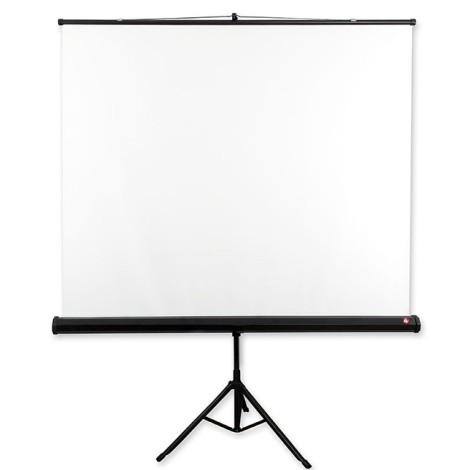 Avtek Tripod Standard 200 projection screen 1:1