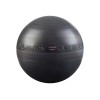 Pure2Improve | Exercise Ball | Black | 65 cm