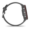 Garmin Forerunner 255 3.3 cm (1.3") MIP 46 mm Digital 260 x 260 pixels Grey Wi-Fi GPS (satellite)