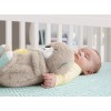 Fisher-Price Soothe 'N Snuggle Otter