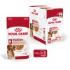 ROYAL CANIN SHN Medium Adult in sauce - wet food for adult dogs - 10x140g