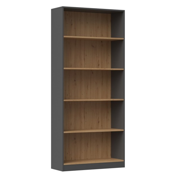 Topeshop R80 ANT/ART office bookcase