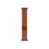 Apple 49mm Terra Cotta Alpine Loop - Medium - Black Titanium Finish