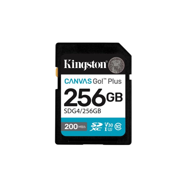 KINGSTON 256GB UHS-I SD Memory Card ...