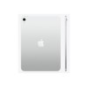 Apple iPad 11