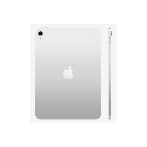 Apple iPad 11