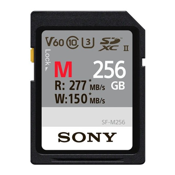 Atminties kortelė Sony SDXC Professional 256GB ...