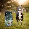 ADDVENA Taste Sensations Adult Medium/Large Turkey - dry dog food - 10kg
