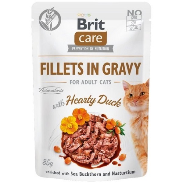 BRIT Care Fillets in Gravy duck ...