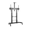 GEMBIRD Height adjustable TV floor stand
