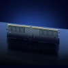 NB MEMORY 32GB DDR5-5600/LD5U32G56C46ST-BGS LEXAR
