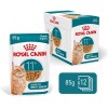 ROYAL CANIN Ageing 11+ Chunks in gravy - wet cat food - 12x85g