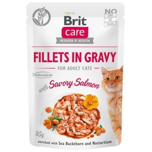 BRIT Care Fillets in Gravy salmon ...