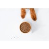 NATURE'S PROTECTION Superior Care Red Coat Adult Small breed Grain free Salmon - dry dog food - 1,5kg