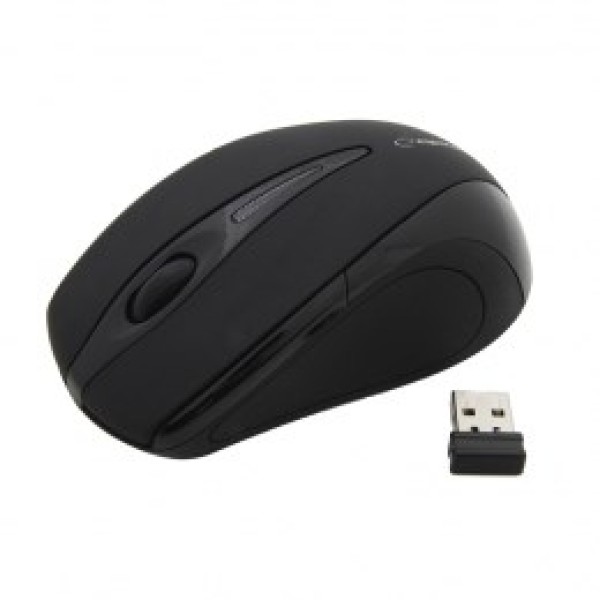 Esperanza EM101K mouse Ambidextrous RF Wireless ...